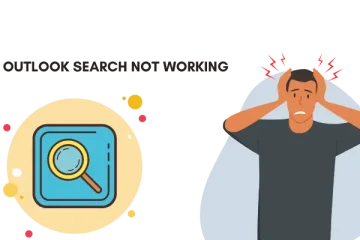 outlook search not working